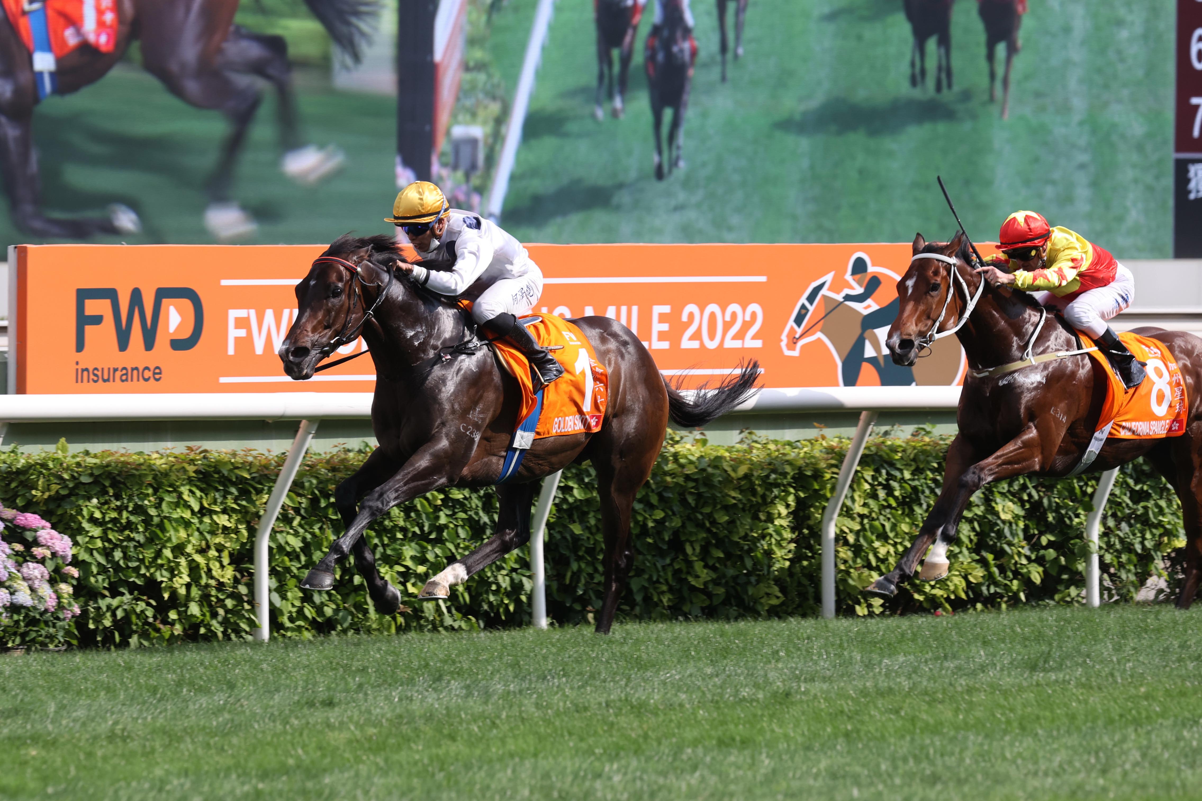 Golden Sixty claims backtoback Horse of the Year titles LOVERACING.NZ